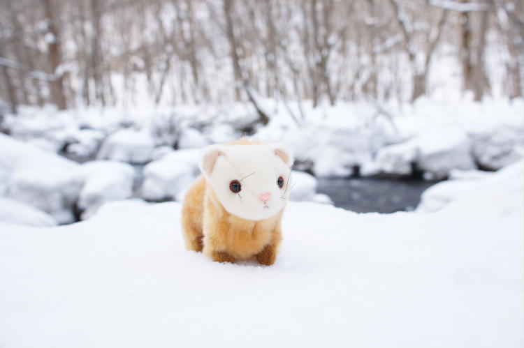 この時期の奥入瀬渓流は純白の雪に覆われる。ガイドさん持参のテンのぬいぐるみを置いて記念撮影。