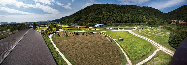 パワースポットと言われる八幡山の麓の広大な土地に、本社棟、和洋菓子販売棟などが点在。水田や農業用の建物も擁する。市内には、織田信長が居城とした安土城があった安土山もある。