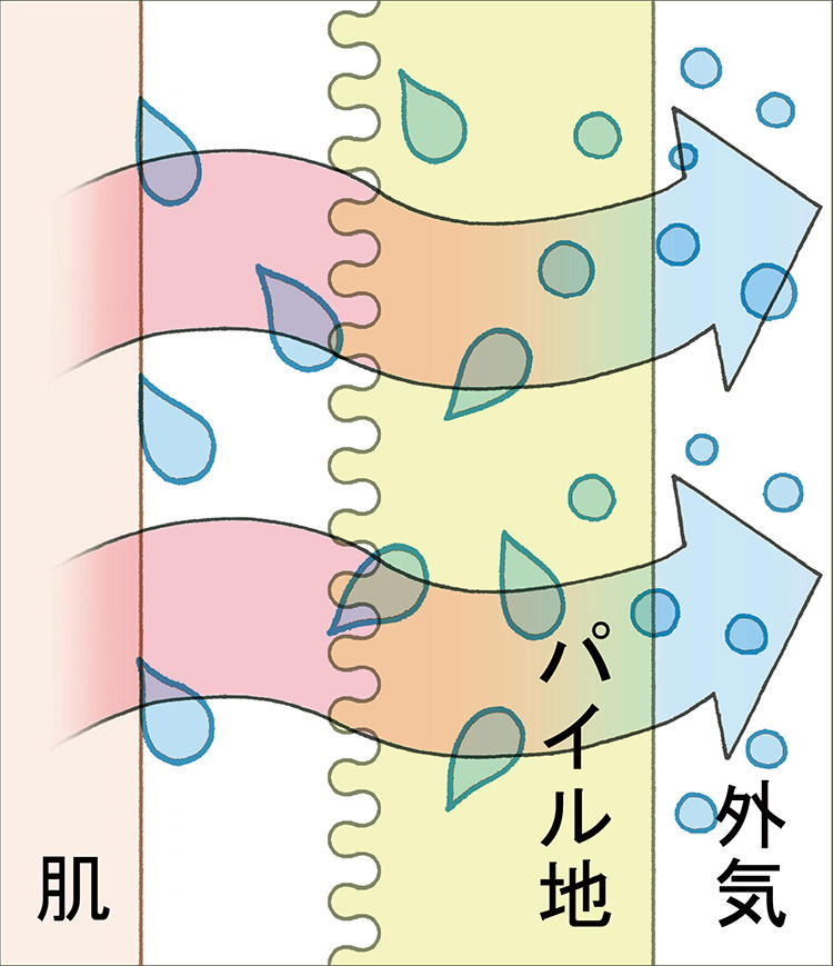 夏：汗を吸収して体温を放熱