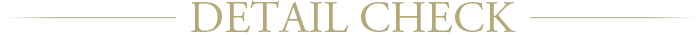 DETAIL CHECK