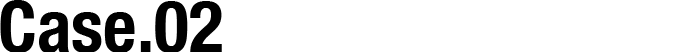 Case.02