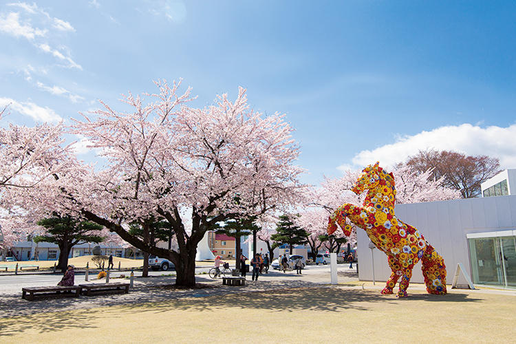 十和田市現代美術館