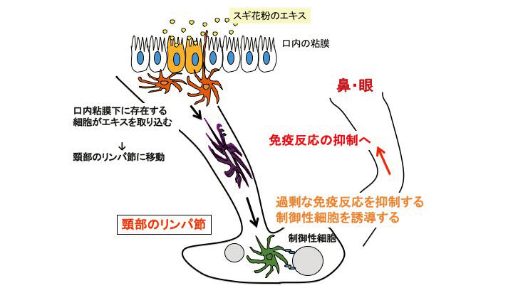 40代からのカラダメンテ10