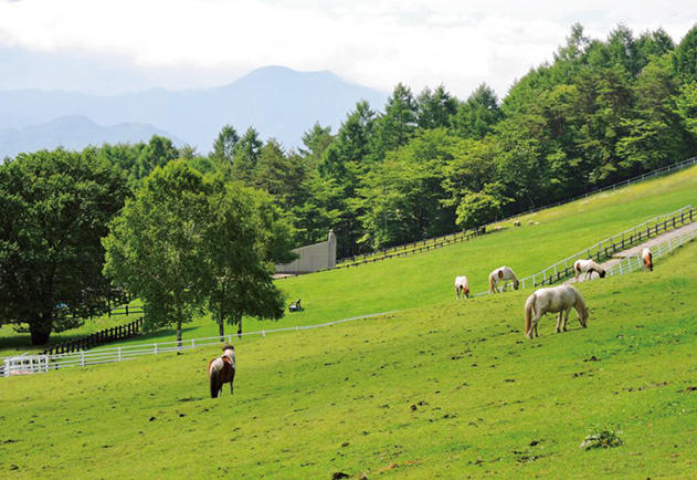 山梨県立まきば公園