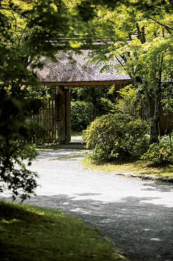 茅葺き屋根の門構えが情緒たっぷりの亀の井別荘の旅館入口。