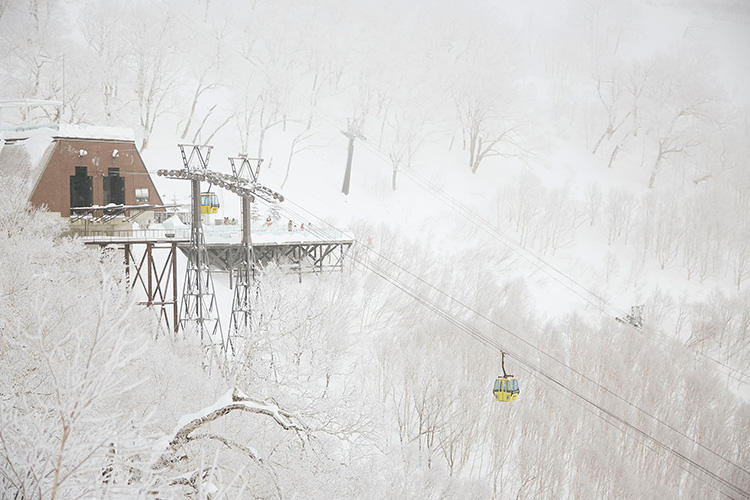 早朝は樹木に連なる「霧氷」が圧巻の美しさ。これを眺めにゴンドラで山頂駅舎へ。