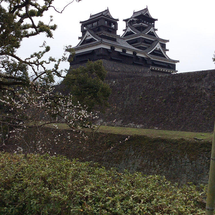 2016年3月、お洒落道場外伝の取材時に撮った熊本城。