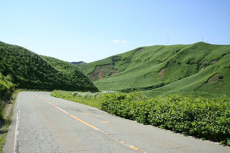 熊本B級グルメ案内