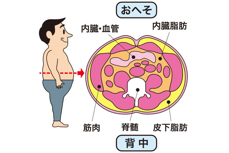 今どきの痩身事情