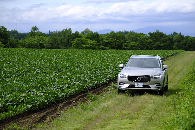 大自然を走るボルボXC60