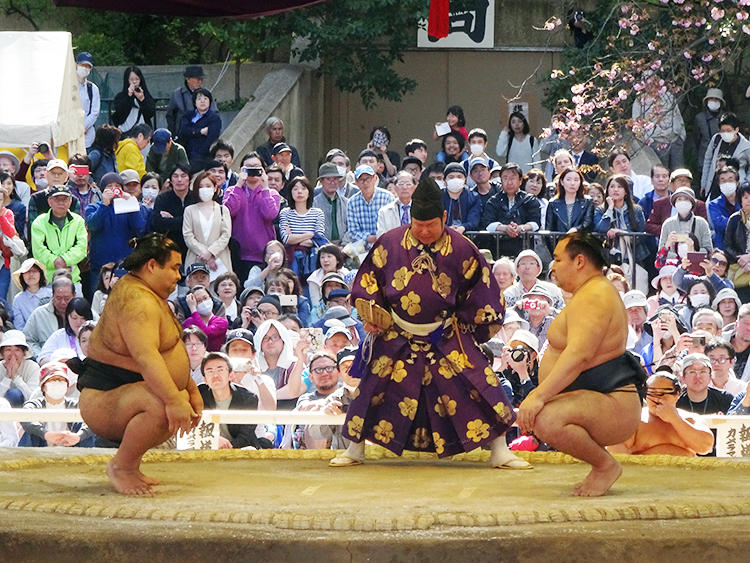 腰痛のため春巡業を休場していた高安はこの日から合流し、元気な姿を見せてくれました。