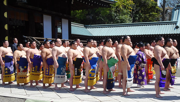 靖国神社奉納大相撲