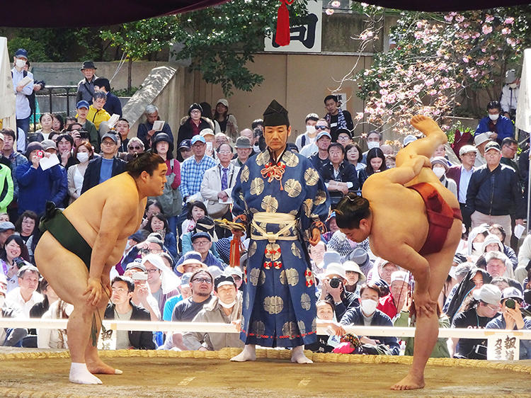 左：隠岐の海　右：華麗な四股を踏む阿炎