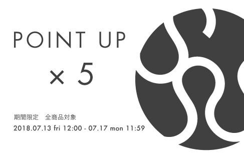 POINT UP ×5