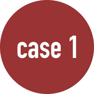 case1