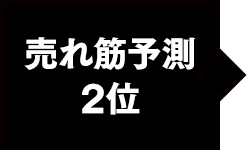 売れ筋予測2位