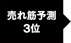 売れ筋予測3位