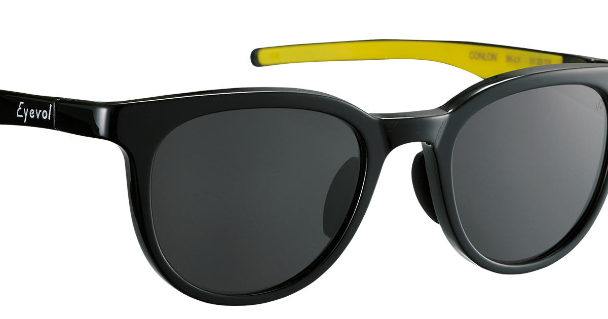 Eyevol×mountainmaniaのサングラス　美品 TOPページ | Eyevol ONLINE SHOP