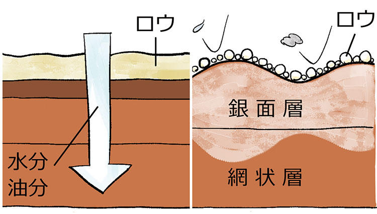 靴磨きで靴が長持ちするメカニズム、理解していますか？【究極の靴磨き】