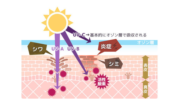 「日焼けのアフターケア」不健康と老化の象徴”シミ”を撃退するには？