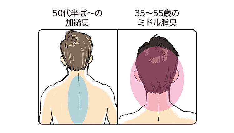 【35〜55歳】中年男子がすべきニオイ対策、後頭部から発生する”ミドル脂臭”とは？