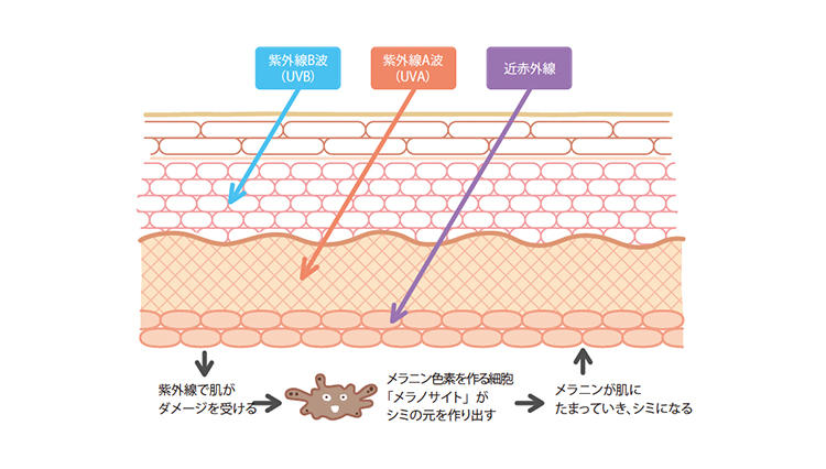 シミ、シワ、たるみ……あらゆる老化の原因に。だから男も日焼け対策が必要！