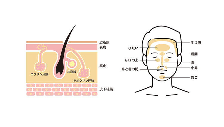 「皮脂の落としすぎが、テカリの主原因だ」男の皮脂対策ケアの落とし穴あり!?