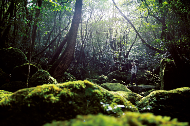 屋久島