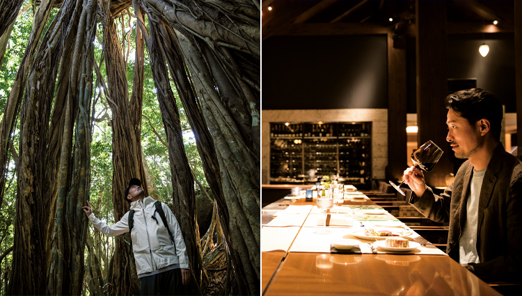 【世界遺産の森・屋久島】ラグジュアリーステイなら、ホテルはどこに泊まる？