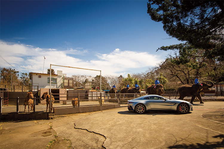 Aston Martin × Elephant Ride