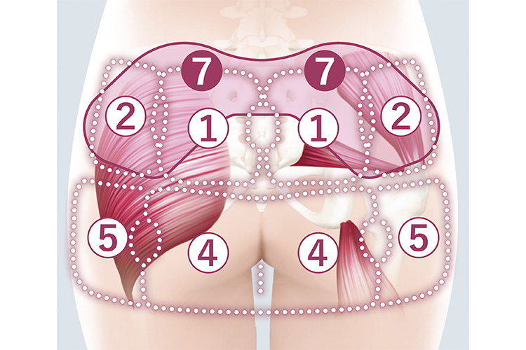 骨盤おしりリフレの押しポイント