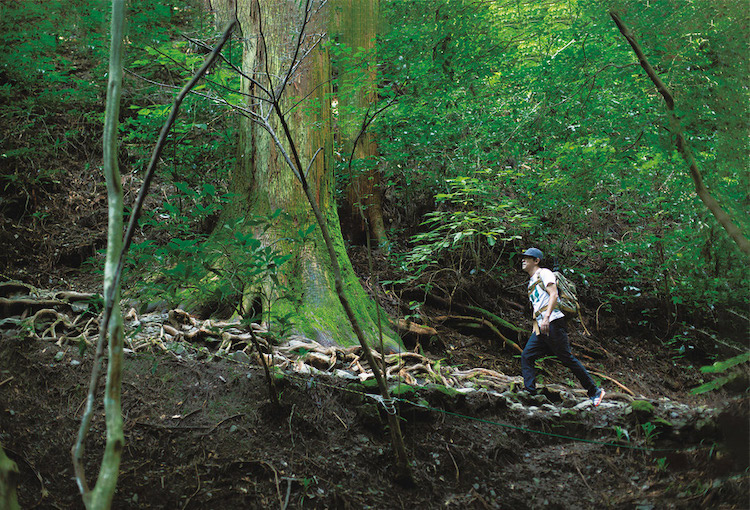 高尾山を登山