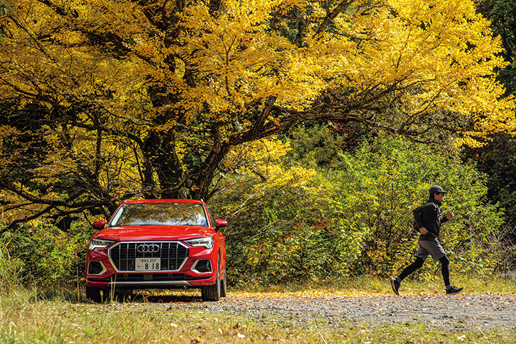 Audi Q3 35 TFSI advanced × Autumn leaves viewing