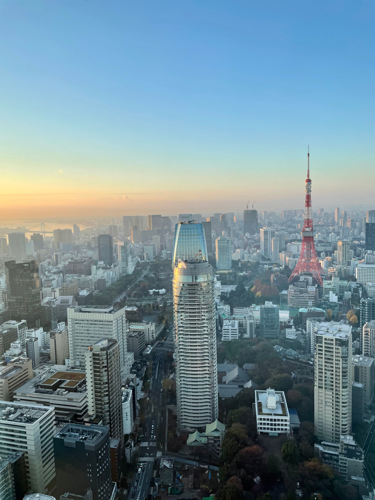 朝の冬景色