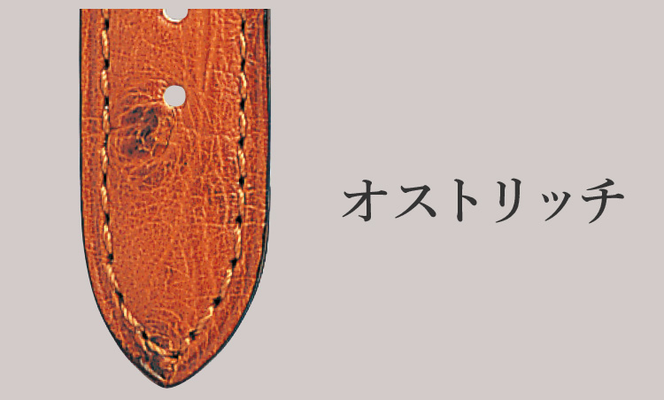 <p><strong>オストリッチ</strong><br />
希少レザーのなかでも古来から珍重されるダチョウの革。羽根を抜いた突起部分が特徴。</p>
