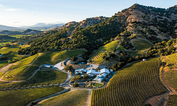 丘陵地に佇む老舗ワイナリー「Shafer Vineyards」