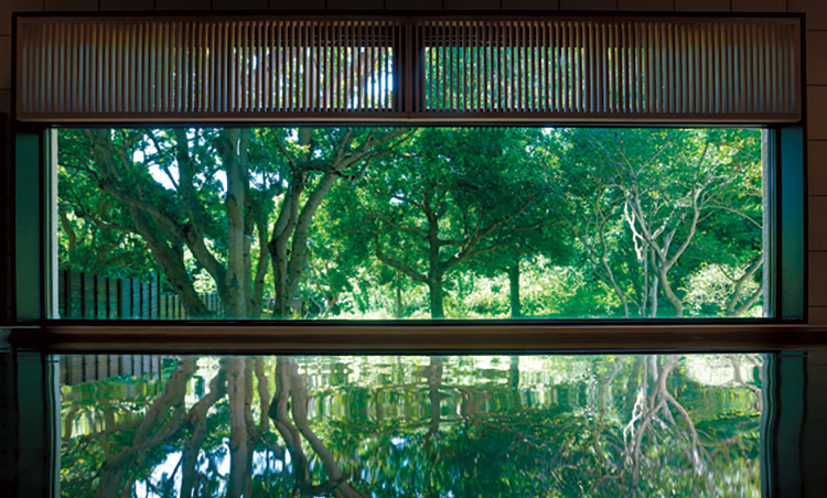 NEMU RESORT-2