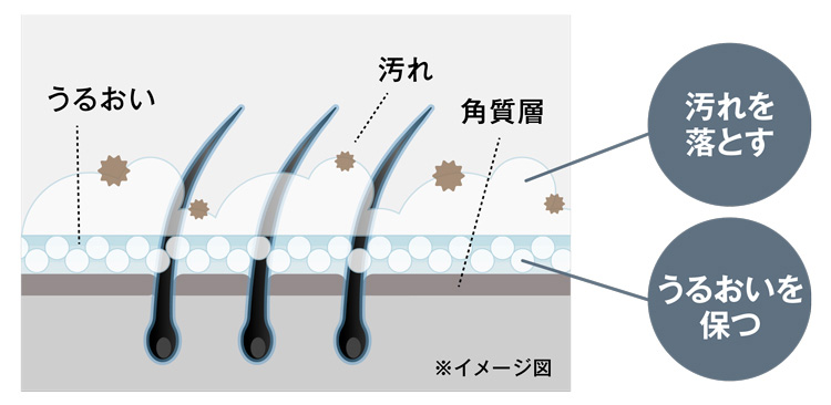 毛髪の悩みを頭皮環境から改善