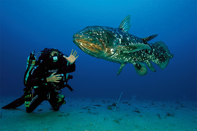 海洋科学者・水中写真家のローラン・バレスタさんが率いる深海研究プロジェクト「ゴンベッサ」