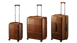 シックで落ち着いた限定色、ブラウン3型が新登場！〈プロテカ〉