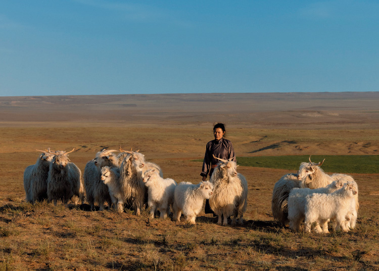 内モンゴルの遊牧民