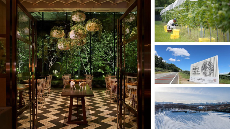 パレスホテル東京 Japanese Wine Journey