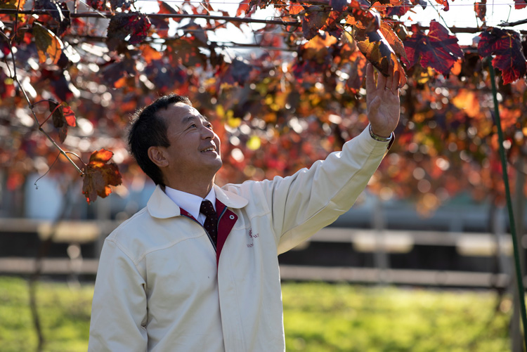 マンズワイン 小諸ワイナリー