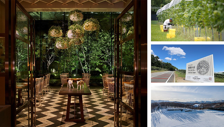 造り手と味わう、最上質の日本ワイン。パレスホテル東京「Japanese Wine Journey」