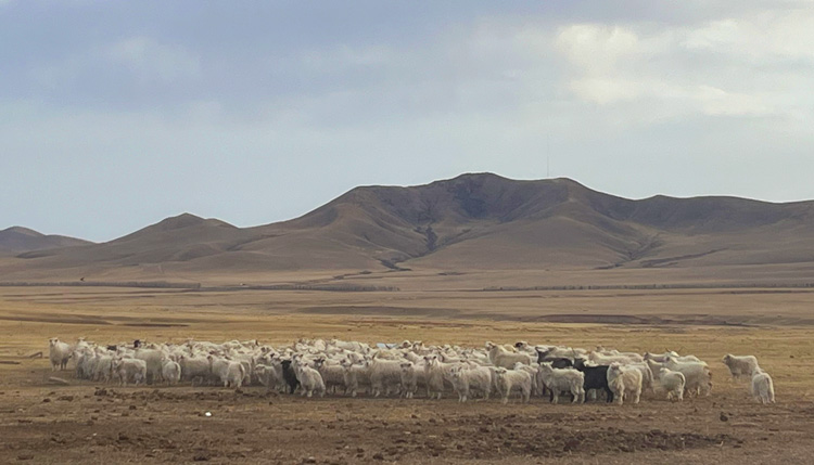 最高峰は内モンゴル産