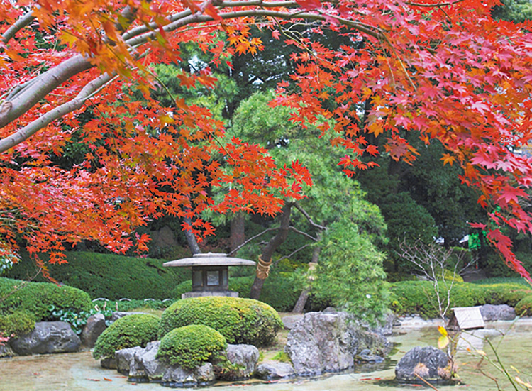 四季を感じる癒やしの庭園