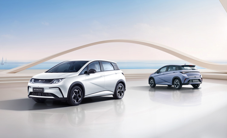 BYD ドルフィン